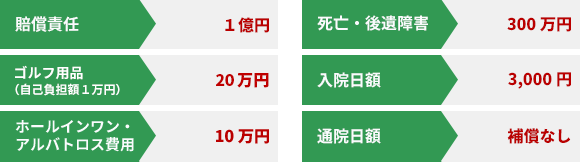 賠償責任 1億円 ゴルフ用品 20万円 ホールインワン・アルバトロス費用 10万円 死亡・後遺障害 300万円 入院日額 3,000円 通院日額 補償なし